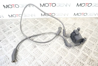 $49 • Buy Harley Davidson ULTRA GLIDE 10 Ignition Coil Pack