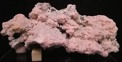 Awesome Museum Quality Rhodochrosite W Calcite Sphalerite & Pyrite Raura Peru • $185