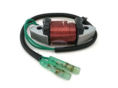 Boat 61N-81313-09 T20-06040003 Lighting Coil Yamaha Parsun Outboard C 25-30hp 2T • $34.62