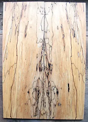 Figured Spalted Ink Line Rock Maple Drop Top .36  Thk Guitar Bass Tonewood 2306 • $59.99