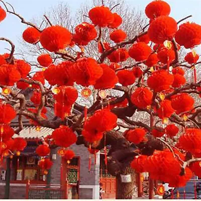 £5.66 • Buy 20X Chinese New Year Red Paper Lanterns Hang Lantern Tassel Hanging Party Decor