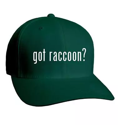 Got Raccoon? - Adult Baseball Cap Hat NEW RARE • $24.99