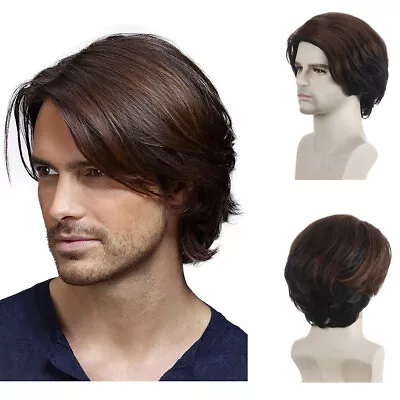 12  Men Short Wig Male Wavy Full Wigs Synthetic Hair Dark Brown Party Cosplay • $20.99