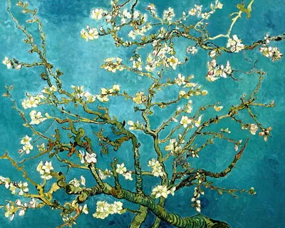 $10.99 • Buy Almond Blossom By Vincent Van Gogh Oil Painting Giclee Printed On Canvas P086