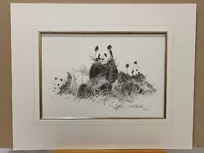 David Shepherd - Panda (Pencil) - Mounted ( In Stock) • £37.50