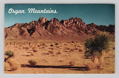 Postcard El Paso Texas Organ Mountains Desert Landscape Nature Scenic View TX • $7.95