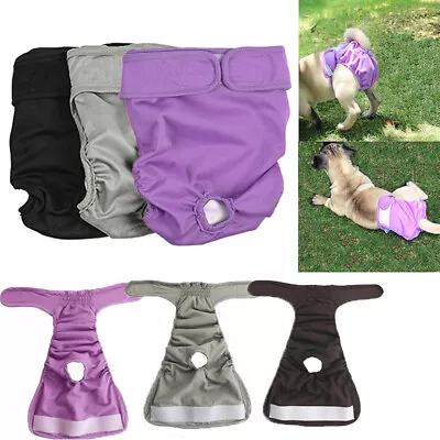 Female Dog Pet Season Heat Pants Short Sanitary Underwear Puppy Menstrual Diaper • $7.99