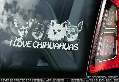 £3.99 • Buy I Love Chihuahuas Car Sticker - Dog On Board Chihuahua Window Sign Decal V12