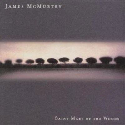 £12.44 • Buy Saint Mary Of The Woods (CD) Album (US IMPORT)