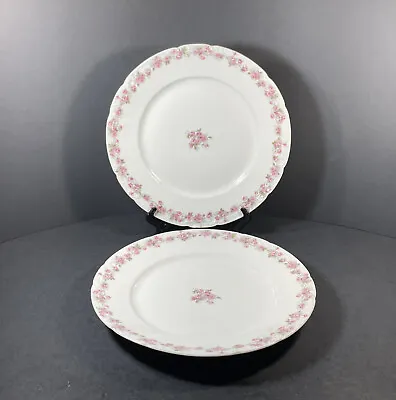 $34.99 • Buy CH Field Haviland 2 Dinner Plates The Fontainbleau Pink Roses Limoges READ