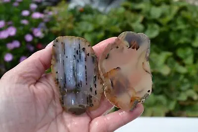 Montana Moss Agate Slabs • $22