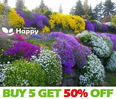 ALPINES DWARF PERENNIAL - ROCKERY GARDEN MIXTURES FLOWER SEEDS - 0.5g - SEEDS • £1.99