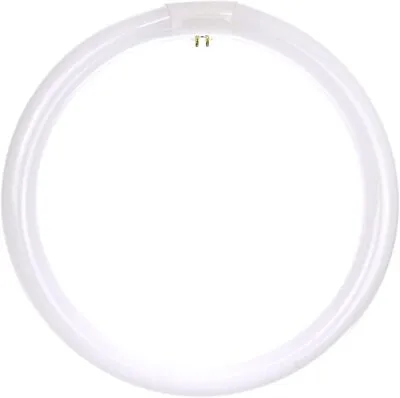 12  FC12T9/CW Circline T9 G10q COOL WHITE 4100K Light Bulb Fluorescent NEW 20142 • $13.77