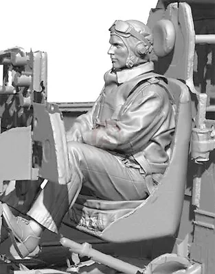 Legend 1/18 US Navy Pilot I WWII Sitting Hand On Control Stick (2 Heads) LF1803 • $68.94