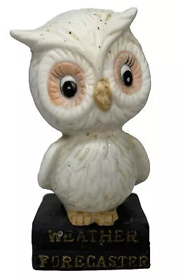 Vintage Enesco Owl Weather Forecaster Figurine 1975 E-8720 Glitter-y White Owl • $19.99