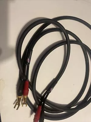 Monster Z Series Speaker Cable - 10ft • $45