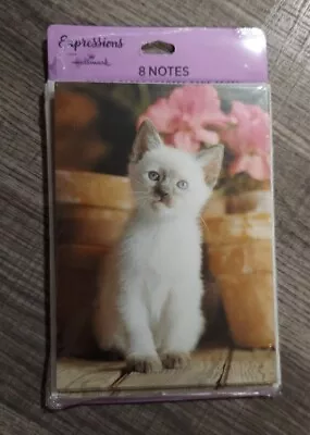 Hallmark Expressions All Occasion Cat Note Cards 8 Pack Kitten Blank Inside • $3.50