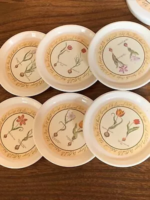 Vintage Cloverleaf Melamine 'Tulip Bulbs' 6 Coaster Set In Case With Lid VGC • £6