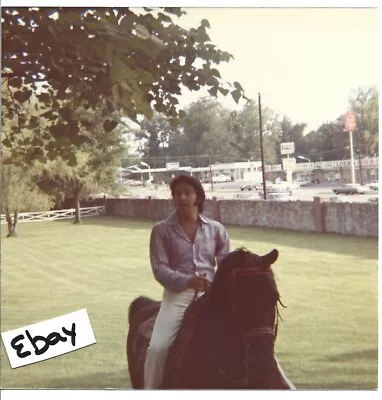 Rare Elvis Original Photo On Horse Old Kodak Estate Find Candid Lot 233 • $4.99