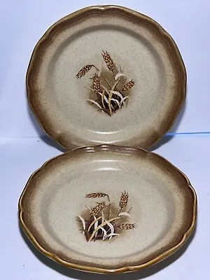 2 VINTAGE Mikasa Whole Wheat Granola Dinnerware Dishes 8  Salad Plates E8001 • $14.99