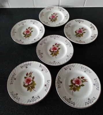 Set Of 6 Vintage 70s Floral Side Plates By Barratts Of Staffordshire • £16.95