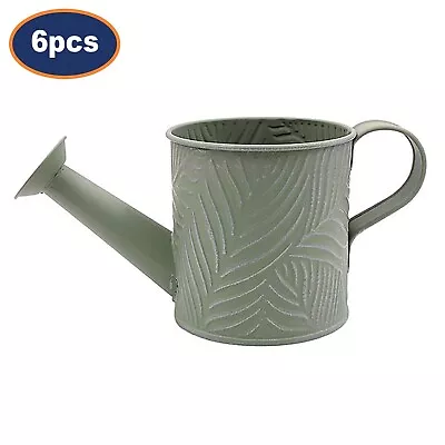 Set Of 6 Pastel Green Metal .65L Watering Can Indoor & Outdoor Gardening Plants • £24.50