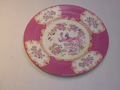 Minton  Pink Cockatrice  Dinner Plate • $89.99