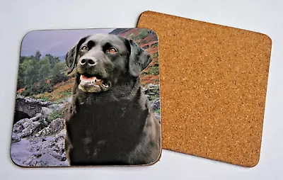 Scenic Black Labrador Dog Cork Back Coaster For Cups Mugs 10cm X 10cm Ideal Gift • £3.99