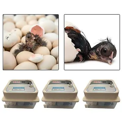 £48.76 • Buy Digital Egg Incubator Auto Egg Turner Hatching Incubator Desk Large Automatic