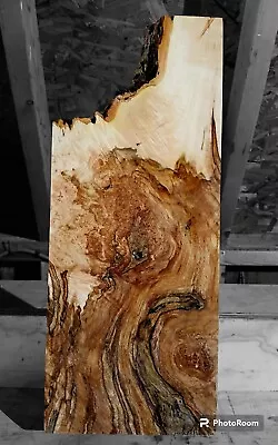 Wicked FIGURED BIRDSEYE Maple Burl Wood STABILIZING EPOXY WOOD Curly WOOD SLAB  • $64.99