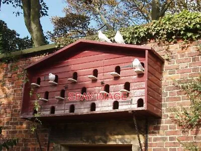 Photo  Dovecot In Alnwick Gardens The Dovecot Is In The Ornamental Garden Which • £1.85