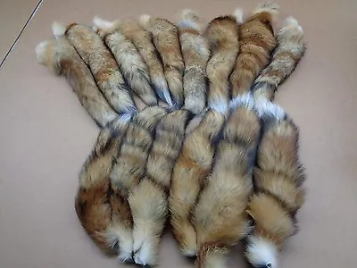 #1 Quality XL Tanned Red Fox Tails/Crafts/Real USA Fur Tails/Harley Parts/Purse  • $12.95