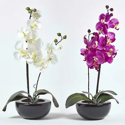 £24.99 • Buy Homescapes Artificial Plants Orchid Flower In Oriental Style Black Bowl