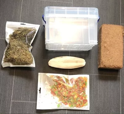 £30 • Buy Advanced 3L Starter Kit For Snail Keeping - With A Heat Mat