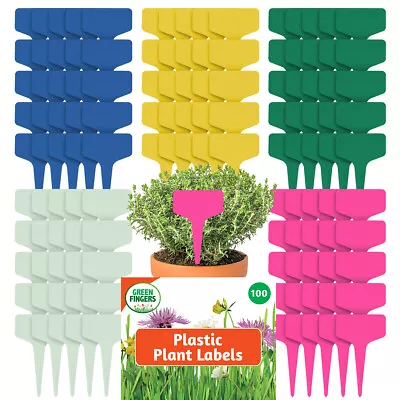 100-300pk Plastic Plant Labels T Type Waterproof Garden Markers Herb Name Tags • £3.99