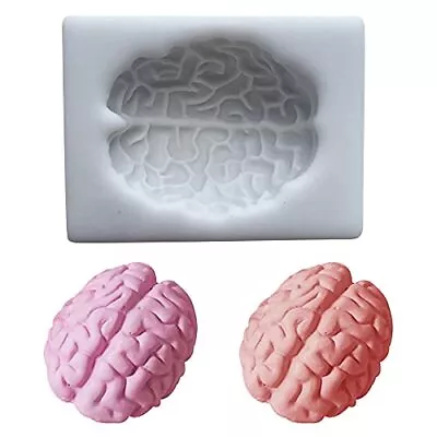 Brain Moldresin Molds For Brainbrain Molds For Epoxy Resin Castingsilicone Mold  • $15.82