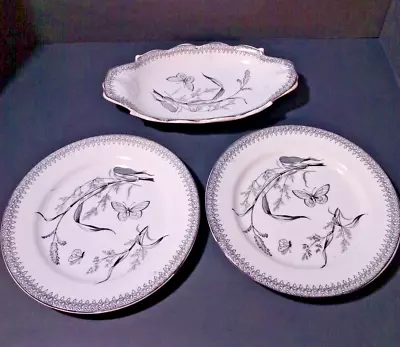 T & R Boote Summertime Oval Dish & Two Bread Plates Sold As 1 Lot • $27.49