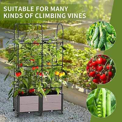 Raised Garden Bed Planter Box W/ Trellis For Climbing Vegetables Plants + Wheels • $78.99