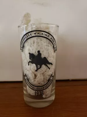 Vintage 1976 Tennessee Walking Horse National Celebration Mint Julep Glass • $24