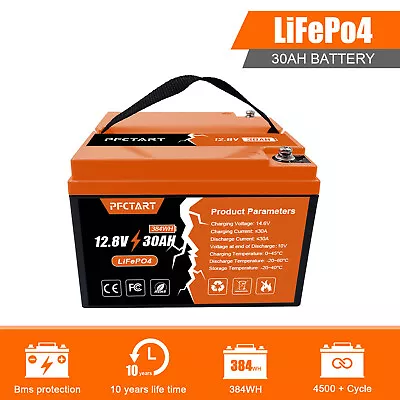 30Ah LiFePO4 Lithium Battery 4500+ Deep Cycles For Golf Cart RV Boat Solar Panel • $223.99