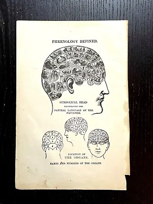 Antique Quack Medical Original Phrenology 19th Century Esoteric Spiritualism • $39