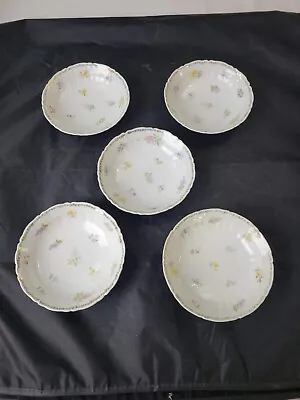 5 - Hand Painted Floral Dessert Berry Bowls Antique C.T. GERMANY Carl Tielsch • $19.99