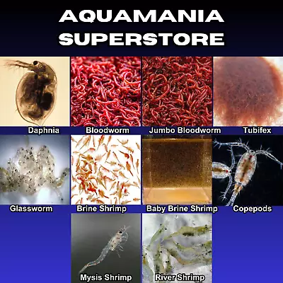 Live Fish Food Tropical Marine Bloodworm Daphnia Tubifex Brine Shrimp Copepods  • £1.99