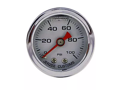 Liquid Filled Pressure Gauge 0-100 Psi - WHITE Dial • $14.95