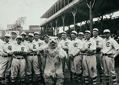 1909 Chicago Cubs Team PHOTO Mascot Wrigley Field Stadium • $5.78