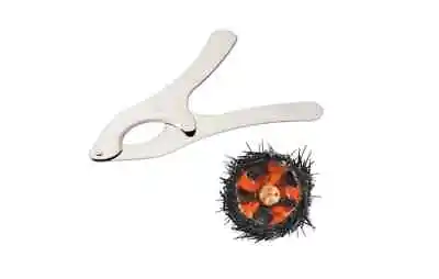 Matfer Bourgeat N4174 Sea Urchin Cutter - Zaseves Italy • $9.99