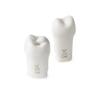 Acadental ModuPRO One M300 Replacement Teeth (1-32) • $2