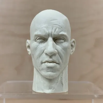 1/6 Scale Headsculpt Vin Diesel Riddick Custom Resin Unpainted 12  Action Figure • $19.99