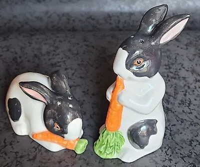 Rabbits Salt N Pepper Shakers Set Collectibles Animals Tableware J Willfred  • $14.99