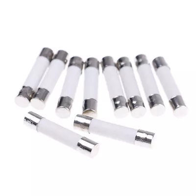 10 Pcs Microwave Ceramic Fuse Electric 20A 250V Home Supplies DIY 6x30I4UK • £5.84